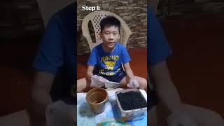 Performance Task in Epp 4 Pagtatanim ng Halamang Ornamental (Oregano)