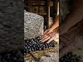 THIS JOB TAKES FORCE. [STONE MILL OLIVE OIL EXTRACTION IN CRETE 🇬🇷]
