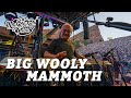 Big wooly mammoth live at red rocks