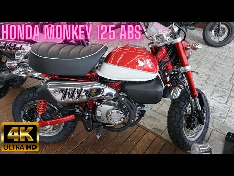 2020 HONDA MONKEY 125 ABS Red - Honda Monkey 125 ABS 2020 - ホンダ