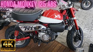 2020 HONDA MONKEY 125 ABS Red - Honda Monkey 125 ABS 2020 - ホンダ
