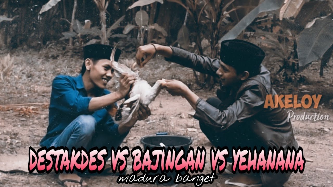 DESTAKDES VS BAJINGAN VS YEHANANA| Madura banget kay