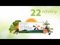 Az új NUTRILITE DOUBLE X