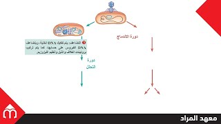 01- تكاثر الفيروسات (الجزء الأول) - علوم بكالوريا سوريا