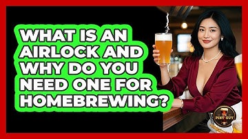 What Is An Airlock And Why Do You Need One For Homebrewing? - The Pint Guy