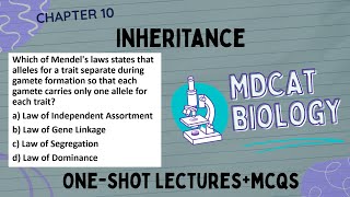 MDCAT Biology Inheritance ONE SHOT 2025 | Complete Chapter 10 Revision & MCQs | Mendelian Genetics