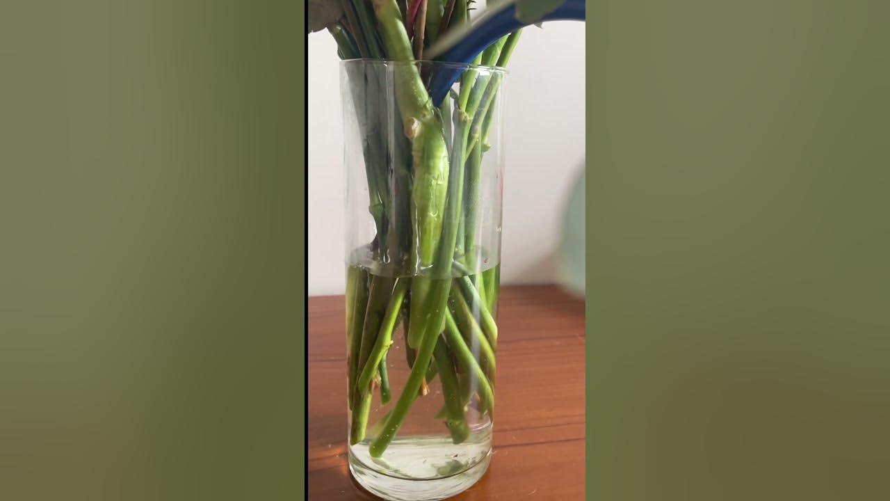 Florist Tips To Keep Flowers Fresh