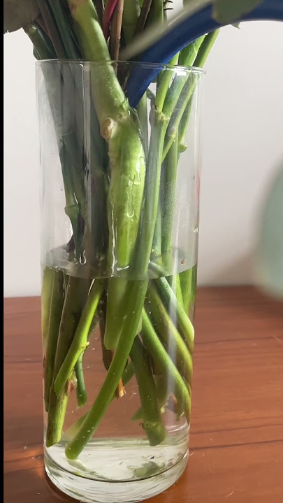 Florist Tips To Keep Flowers Fresh