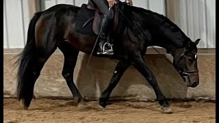 Art2Ride Virtual Lesson 106
