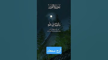 أرح سمعك🥀#القارئ:حمزة بوديب🌺وتوبوا إلى الله جميعا🌿