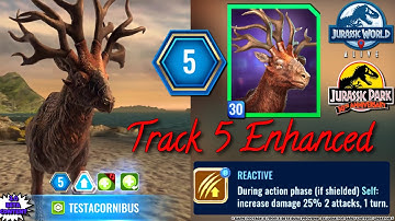 TESTACORNIBUS Enhancement Track 5 REACTIVE