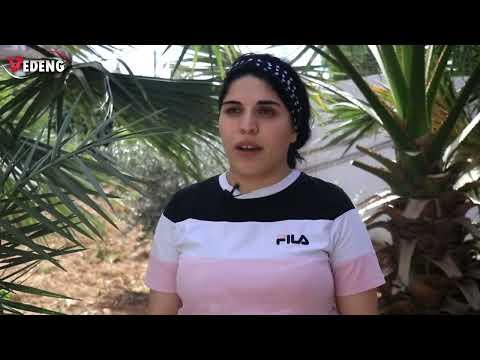 بمبادرة تطوعية فريدة من نوعها اطلقتها ابنة مدينة قامشلي الانسة جودي براهيم لتأمين بيئة نظيفة 