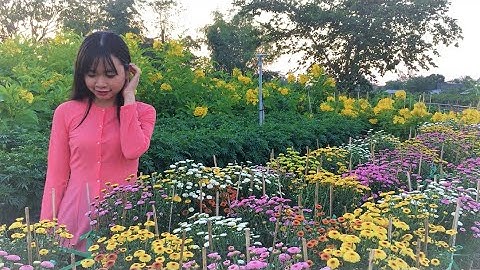 LÀNG HOA SA ĐÉC NHỮNG NGÀY CẬN TẾT CANH TÝ 2020