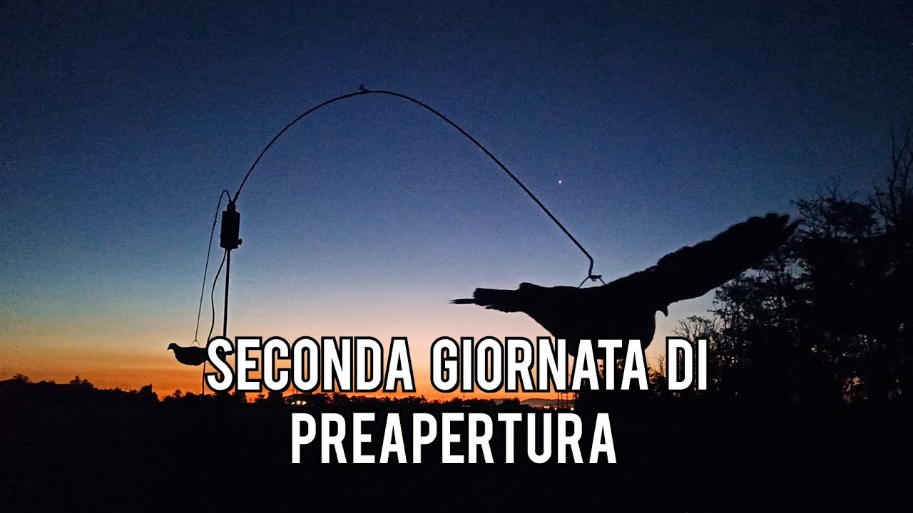 SECONDO giorno di PREAPERTURA stagione 2025-2026 - caccia al COLOMBACCIO da campo