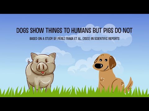 Dogs show things to humans but pigs do not.