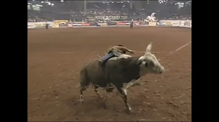 Hollywood bucks Sam Medlock - 00 PBR Guthrie