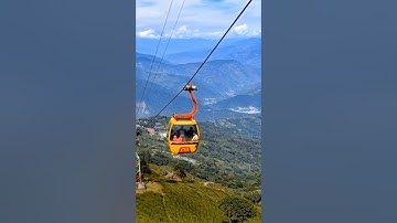 Timber Trail #timbertrail #trending #youtubeshorts #short