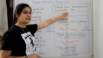 Hormones secreted by pituitary gland in hindi || GH || TSH || Adrenocorticotropic hormone etc.