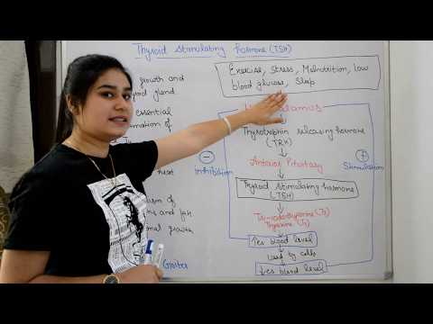 ഹിന്ദിയിൽ പിറ്റ്യൂട്ടറി ഗ്രന്ഥി സ്രവിക്കുന്ന ഹോർമോണുകൾ || GH || TSH || അഡ്രിനോകോർട്ടികോട്രോപിക് ഹോർമോൺ മുതലായവ.