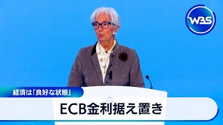 ECB keeps interest rates unchanged; economy is in 'good shape' [WBS]