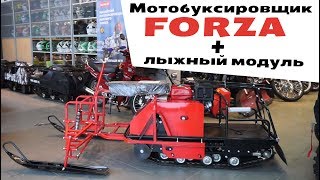 Мотобуксировщик FORZA + лыжный модуль.