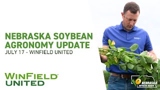 Micronutrients & Tissue Sampling: Finding the "Hidden Hunger" - Nebraska Soybean Agronomy Update