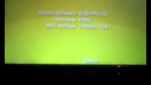 PSP 6.35 PRO-A,1,2,3 MP3 PLUGIN.wmv  (OUTDATED)