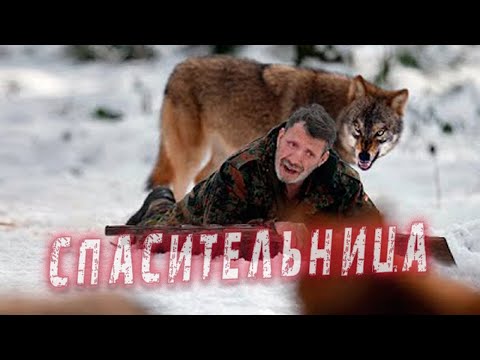 🐺 Старик спас эту ВОЛЧИЦУ Он и представить не мог, что  она СПАСЕТ человеку ЖИЗНЬ