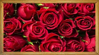 Love and Roses Especially for You | 4K TV ART | Display Screensaver Wallpaper | Subscribe screenshot 2