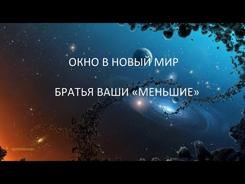 Видео: ОКНО В НОВЫЙ МИР ,  БРАТЬЯ ВАШИ «МЕНЬШИЕ»