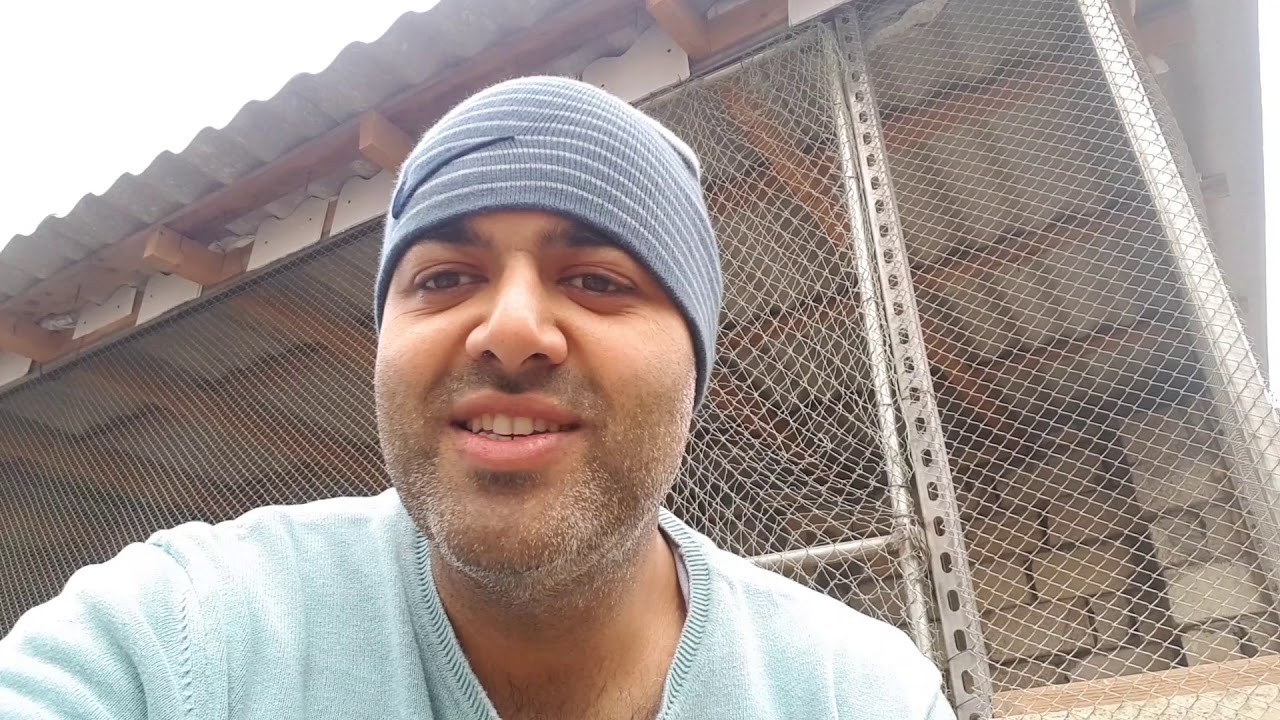 Ən sərfəli təsərrüfat növü. Xərc tələb etmir/Самый прибыльный вид фермы