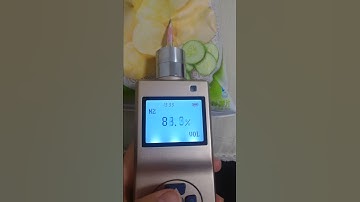 Portable N2 gas detector for food industry