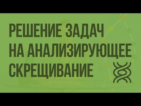 Решение генетических задач на анализирующее скрещивание. Видеоурок по биологии 10 класс