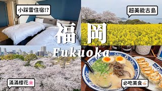 🇯🇵福岡vlog｜福岡賞櫻景點3選🌸｜開箱博多王子智能飯店🏨｜福岡城夜櫻｜能古島超美油菜花田｜博多必吃美食｜ ShinShin豚骨拉麵🍜｜華味鳥水炊鍋｜九州自由行