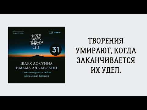 31. Шарх ас-Сунна аль-Музани // Сирадж Абу Тальха