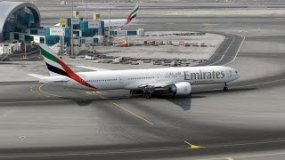 Dubai Spotting Closeups