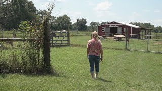 'Everything has gone up' | Baldwin County residents concerned as property taxes continue to rise
