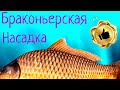 Браконьерская секретная НАСАДКА !!!!!