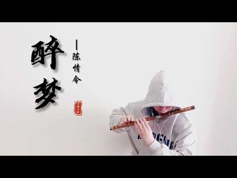 The Untamed 【Drunken Dream】Dizi Cover