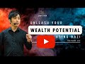 Unleash Your Wealth Potential Using BaZi