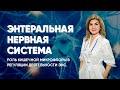 Энтеральная нервная система. Роль кишечной микрофлоры в регуляции деятельности ЭНС.