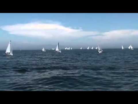 420's - Bemis Race 5