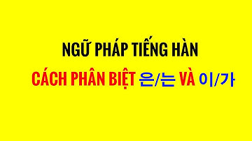 Ngữ Pháp Tiếng Hàn - Cách Phân Biệt 은/는 Và 이/가