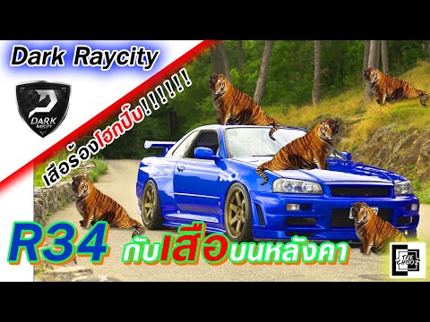 Raycity เสือร้องR34โฮกปิ๊ป!!!!!!!