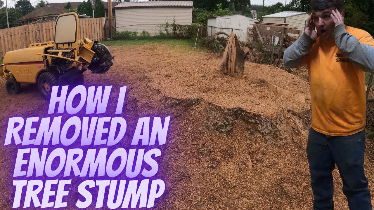 How I Removed an Enormous Tree Stump