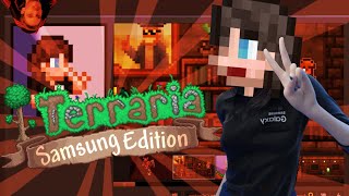 Terraria Steam Workshop was a MISTAKE...