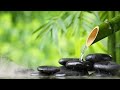 Música De Relajación Curativa y La Fuente De Agua De Bambú Reducen La Ansiedad, El Estrés, La Fatiga