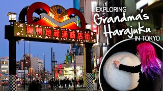 A Walk around SUGAMO: Grandma&#39;s Harajuku in Tokyo!