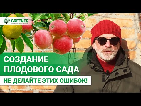 10 ГЛАВНЫХ ошибок при создании плодового сада. ЭТО ОЧЕНЬ ВАЖНО!