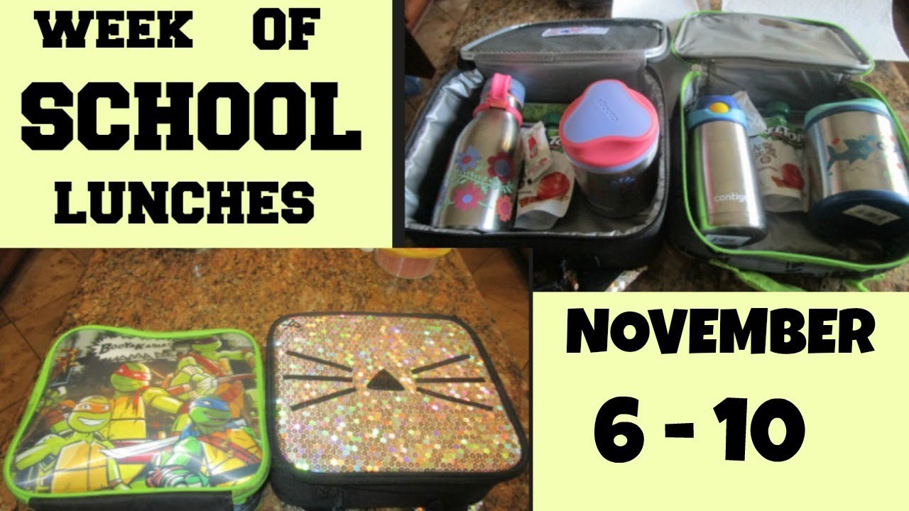 SCHOOL LUNCHES IDEAS.. WEEK OF SCHOOL LUNCHESPICKY EATERS ..WEEK 10